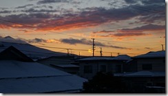 DSC02981