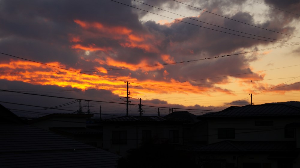 DSC05082