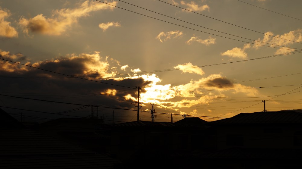 DSC05088