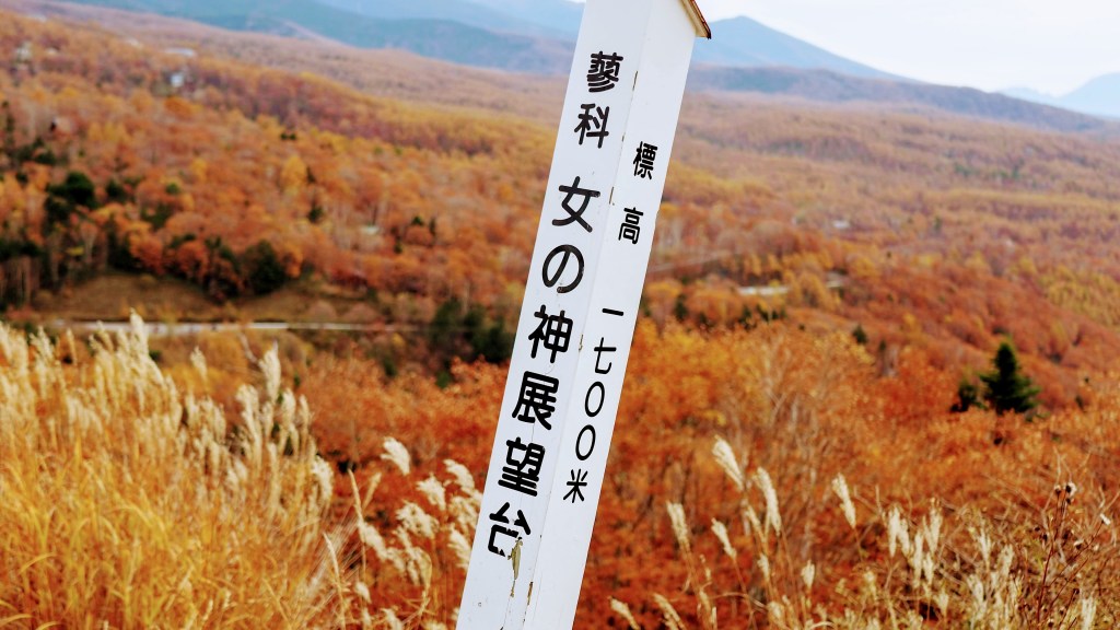 女の神展望台から八ヶ岳の稜線を撮影しました。