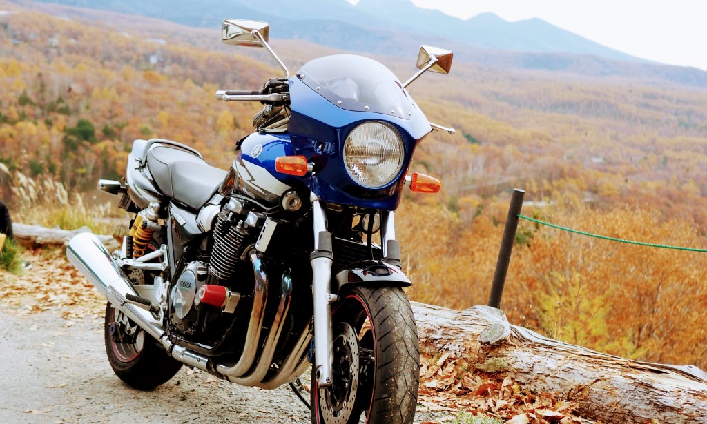 薄曇りの天気が残念でした。もっと晴れ間が欲しかったですね。